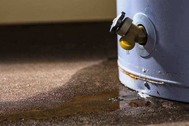 Best Carpet water damage restoration  in Ware Shoals, SC