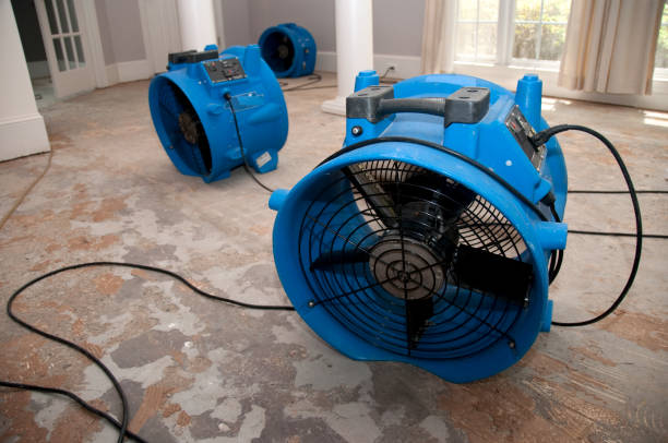 Trusted Ware Shoals, SC Water damage restoration Experts