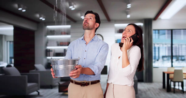 Best Water damage cleanup near me  in Ware Shoals, SC