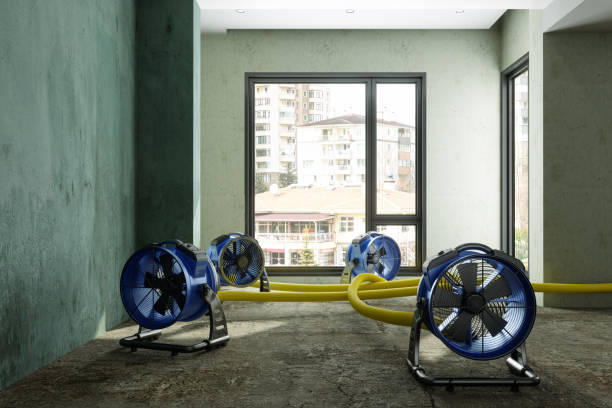 Best Water damage restoration near me  in Ware Shoals, SC