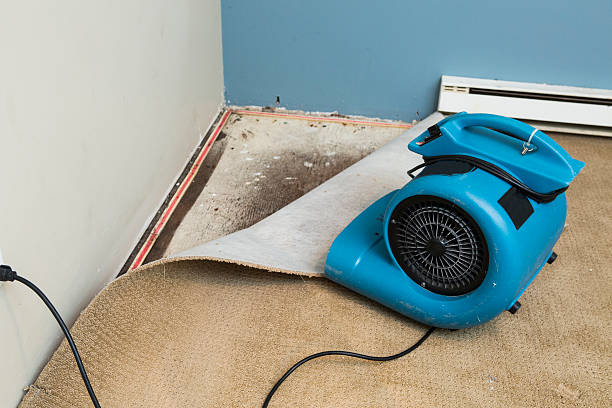 Best 24/7 water damage repair  in Ware Shoals, SC