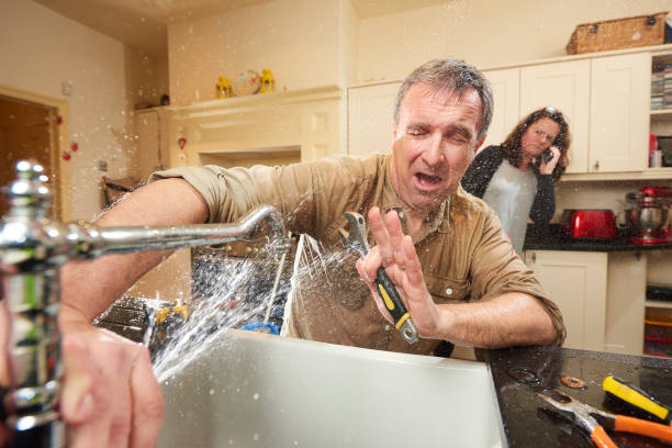 Best Flood damage cleanup  in Ware Shoals, SC